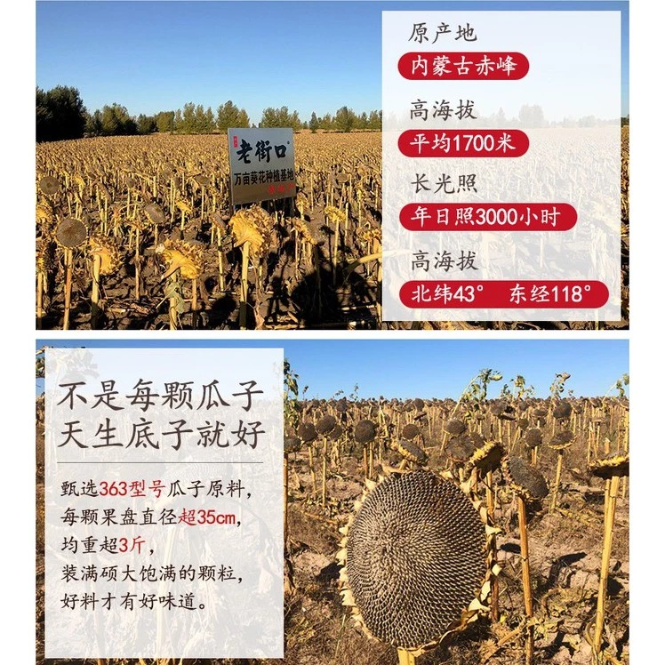 Lao Jie Kou Sunflower Seeds 老街口瓜子 300g-500g - Image 3